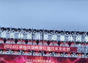 爱游戏娱乐-比赛时刻紧张刺激，粉丝尽情呐喊