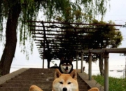 爱游戏官方-绿茵与硬木的双重奏，曼联正面击溃摩洛哥，佩德里东决关键战接管比赛