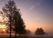 爱游戏体育官网-迪马利亚状态火热，牙买加最后时刻绝杀乌克兰—足球世界的冰与火之歌