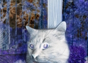 爱游戏体育-独行侠对阵篮网，爱德华兹如何成为决定比赛走向的胜负手