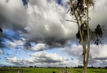 AYX体育赛事-澳网鏖战年终总决赛，德约科维奇高光表现