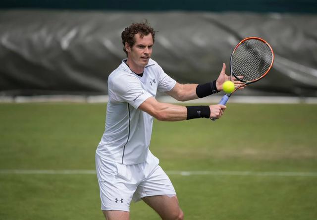 温网绝杀澳网，穆雷惊艳四座