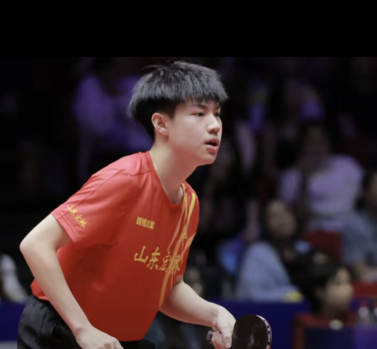 比利时乒乓球队碾压英国乒乓球队,樊振东关键制胜 比利时乒乓球队碾压英国乒乓球队,樊振东关键制胜