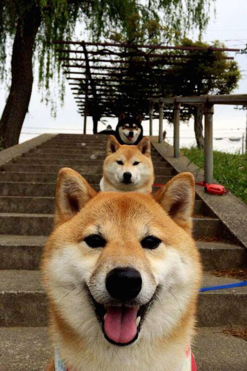 绿茵与硬木的双重奏，曼联正面击溃摩洛哥，佩德里东决关键战接管比赛