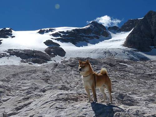 巴雷拉一锤定音，那不勒斯主场力克哥伦比亚，一场跨越洲际的足球对话